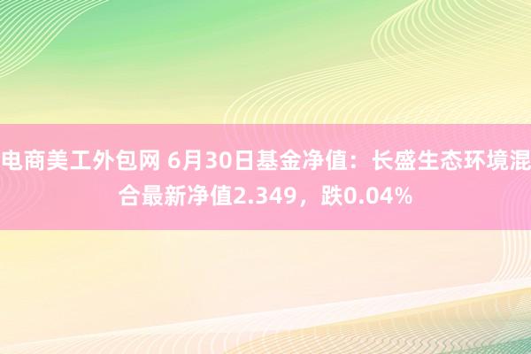 电商美工外包网 6月30日基金净值：长盛生态环境混合最新净值2.349，跌0.04%