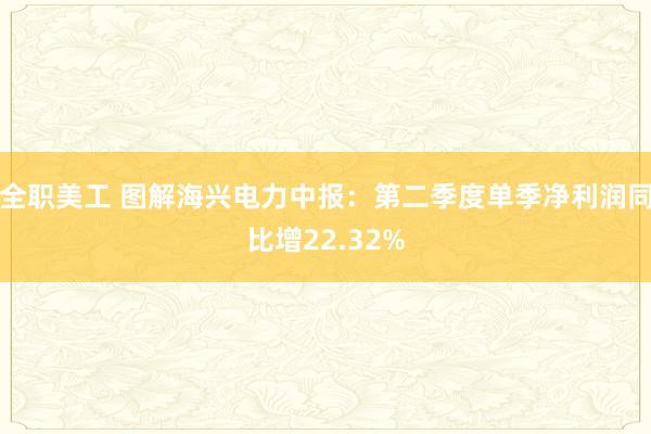 全职美工 图解海兴电力中报：第二季度单季净利润同比增22.32%